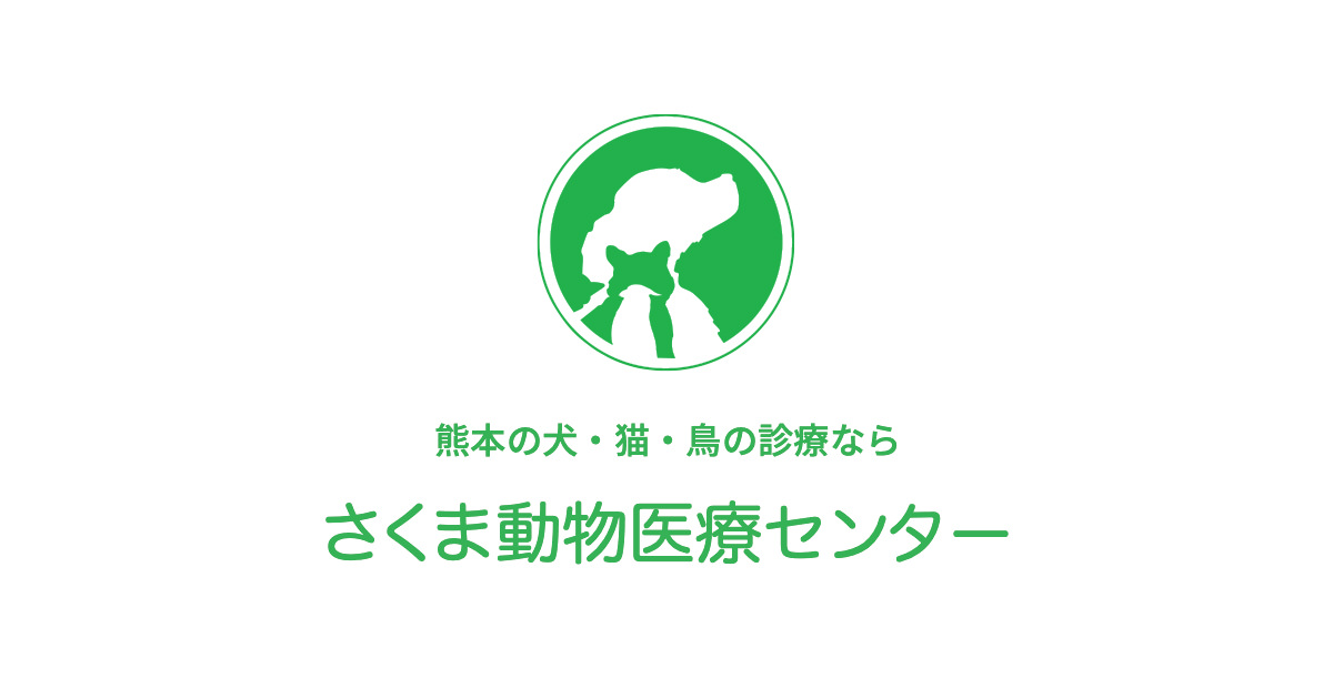スタッフ紹介 さくま動物医療センター 熊本の犬 猫 鳥の診療