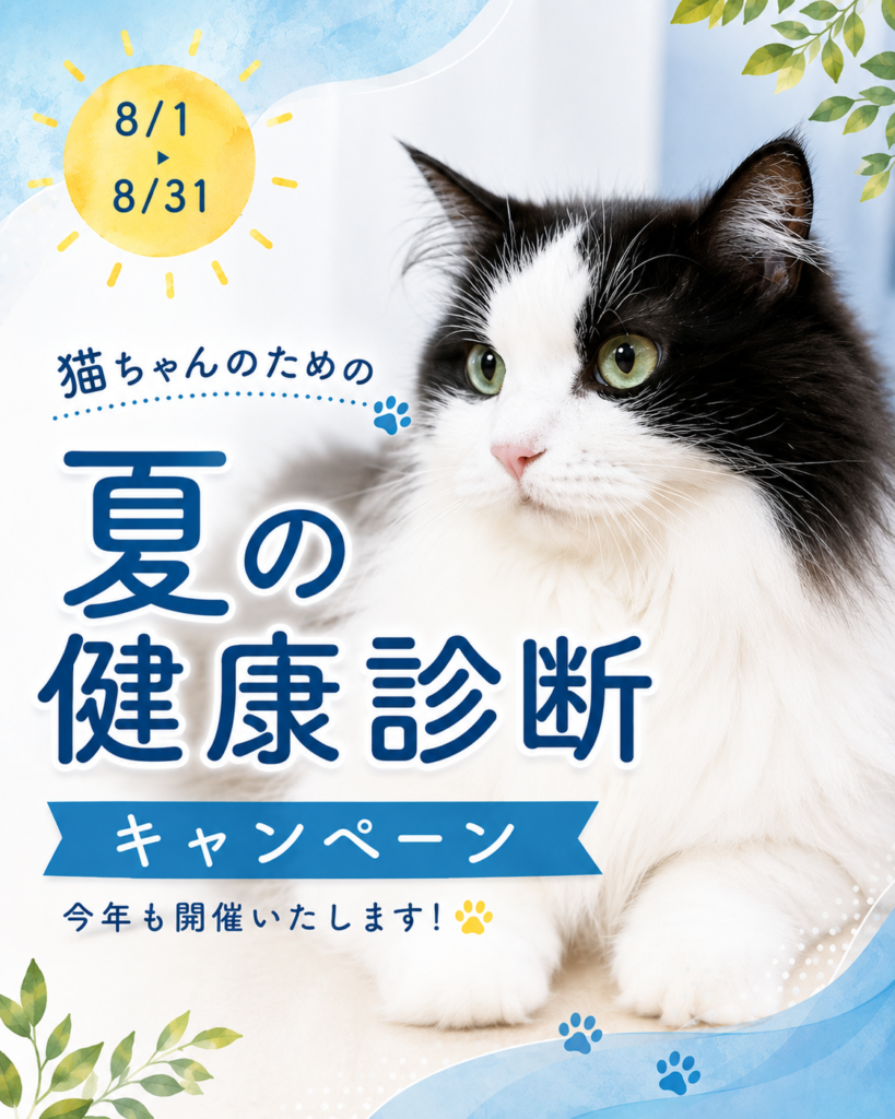 猫の夏の健康診断キャンペーン
