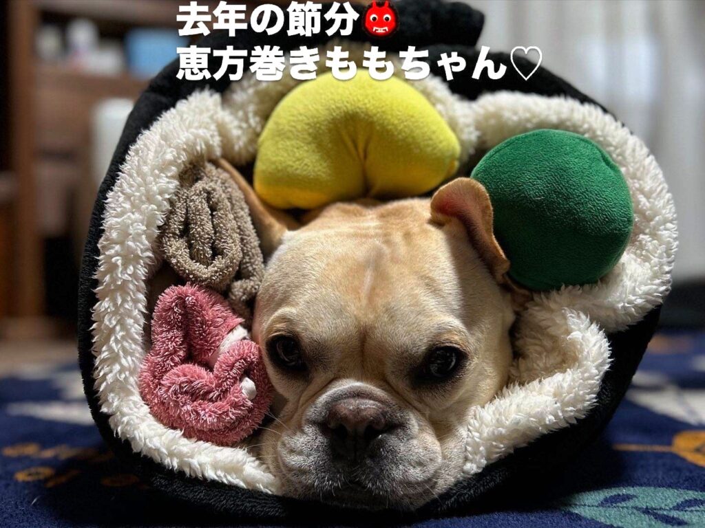 恵方巻ももちゃん