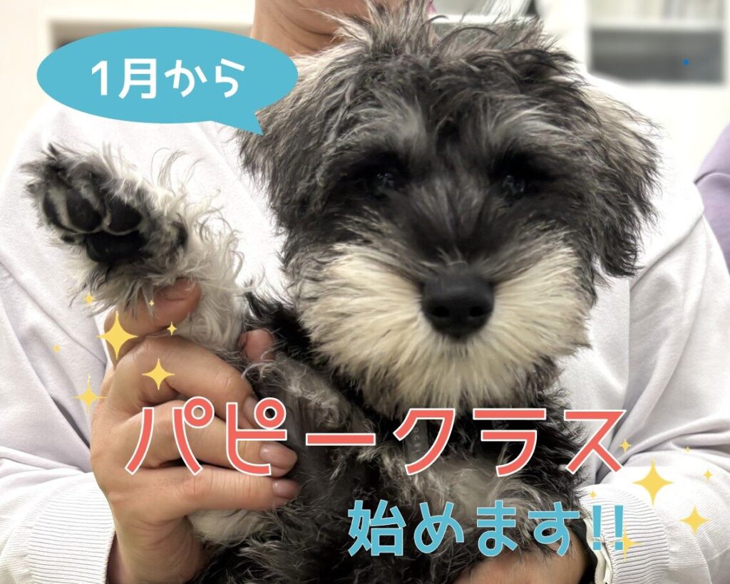 パピークラスはじめます！